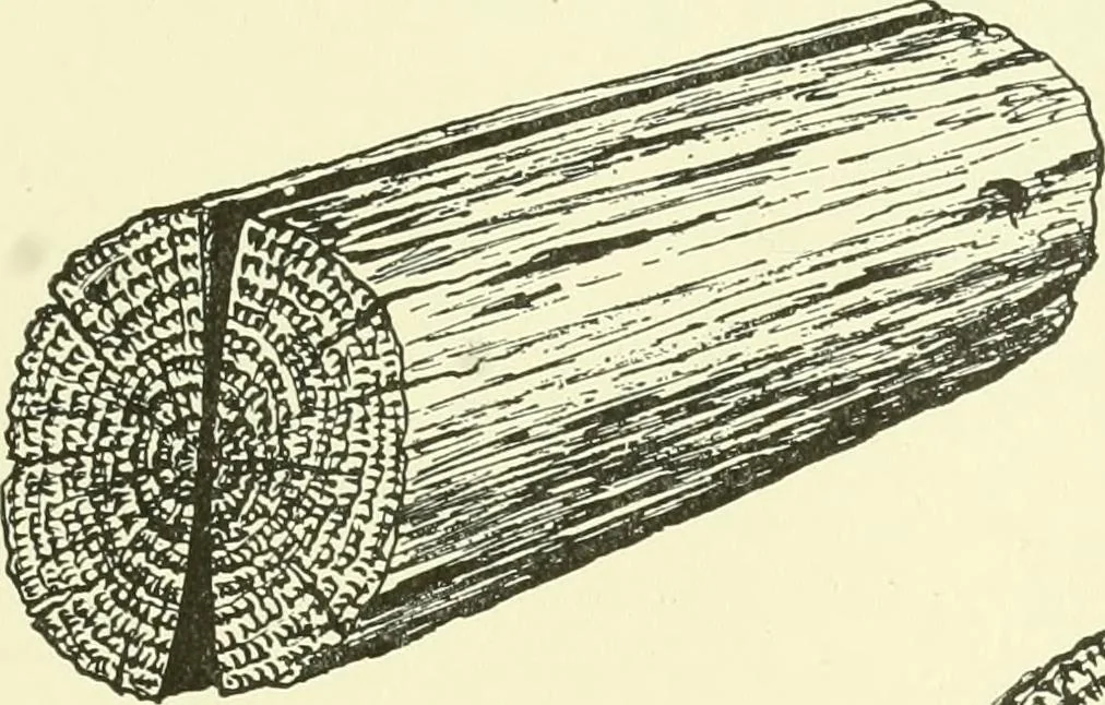 An illustration from A shorter course in woodworking; a practical manual for home and school, 1911, leaf 226