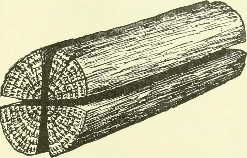 An illustration from A shorter course in woodworking; a practical manual for home and school, 1911, leaf 226