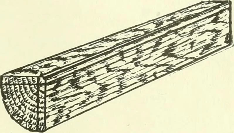 An illustration from A shorter course in woodworking; a practical manual for home and school, 1911, leaf 228