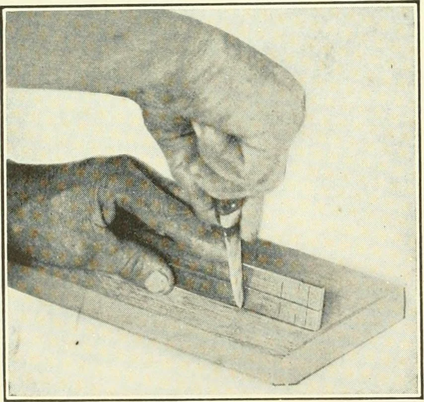 An illustration from A shorter course in woodworking; a practical manual for home and school, 1911, leaf 29