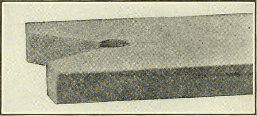 An illustration from A shorter course in woodworking; a practical manual for home and school, 1911, leaf 53