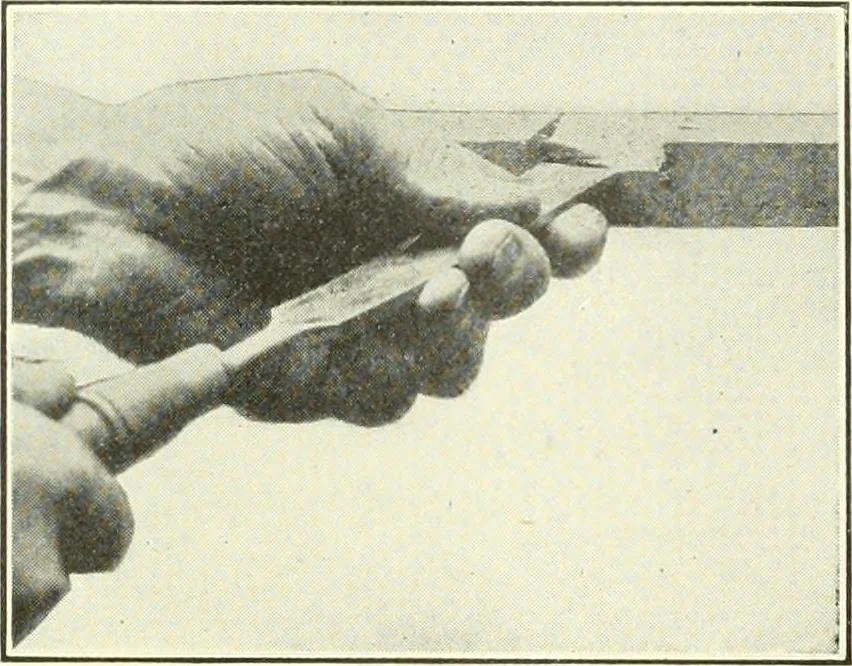An illustration from A shorter course in woodworking; a practical manual for home and school, 1911, leaf 61