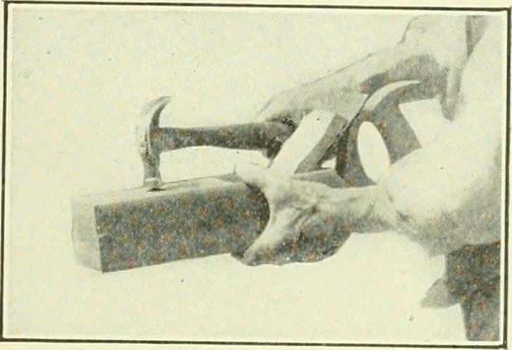 An illustration from A shorter course in woodworking; a practical manual for home and school, 1911, leaf 64