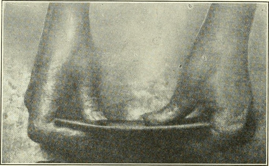 An illustration from A shorter course in woodworking; a practical manual for home and school, 1911, leaf 85