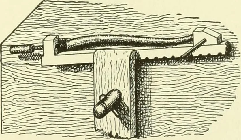 An illustration from A shorter course in woodworking; a practical manual for home and school, 1911, leaf 98