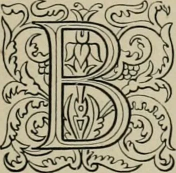 An illustration from A short history of bookbinding and a glossary of styles and terms used in binding, with a brief account of the celebrated binders and patrons of bookbinding from whom the various styles are named, description of leathers, etc, 1895, leaf 10