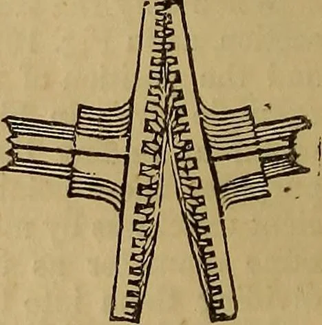 An illustration from A short treatise on the designing and construction of gearing and mill-work. Accompanied by an explanation of the construction and use of the odontograph of Prof. Willis .., 1873, leaf 19