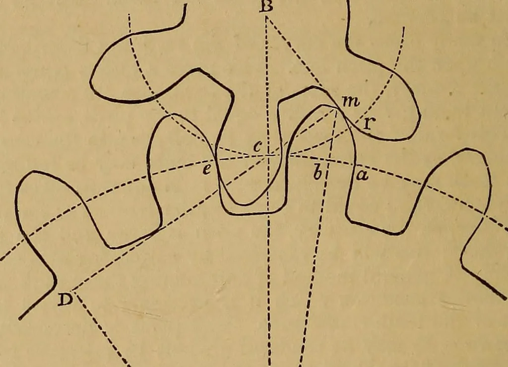 An illustration from A short treatise on the designing and construction of gearing and mill-work. Accompanied by an explanation of the construction and use of the odontograph of Prof. Willis .., 1873, leaf 43