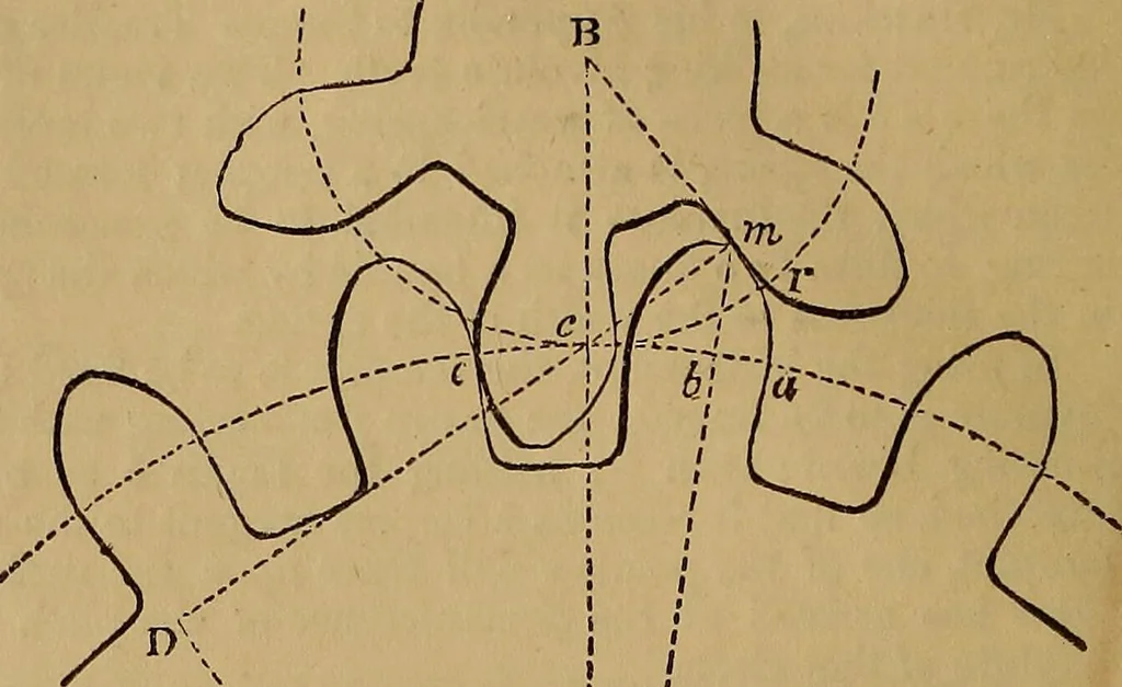 An illustration from A short treatise on the designing and construction of gearing and mill-work. Accompanied by an explanation of the construction and use of the odontograph of Prof. Willis .., 1873, leaf 57
