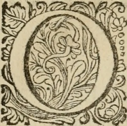 An illustration from Sibylliakoi chresmoi; hoc est, Sibyllina oracula, ex veteribus codicibus emendata ac restituta, et commentariis diversorum illustrata, 1689, leaf 11