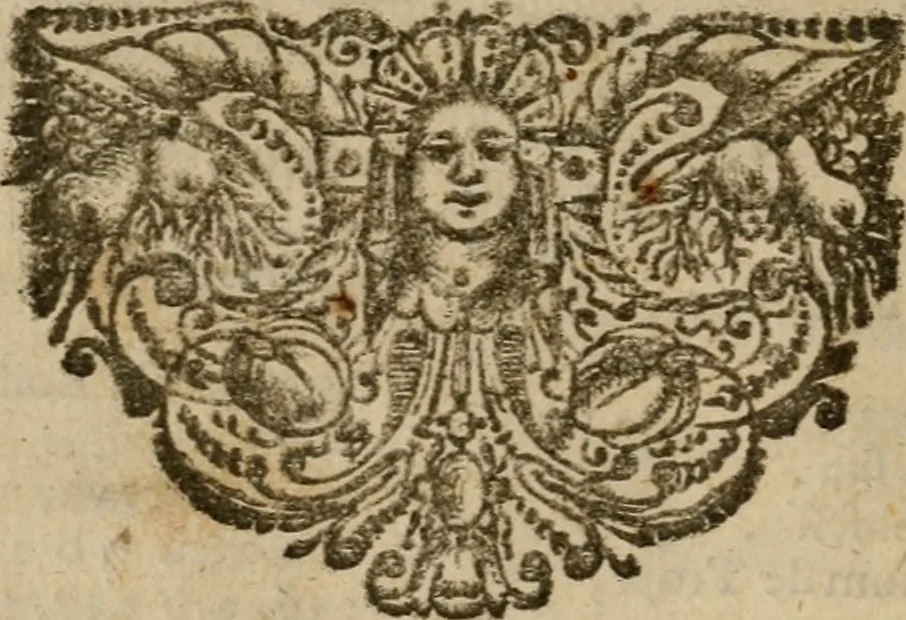 An illustration from Sibylliakoi chresmoi; hoc est, Sibyllina oracula, ex veteribus codicibus emendata ac restituta, et commentariis diversorum illustrata, 1689, leaf 851
