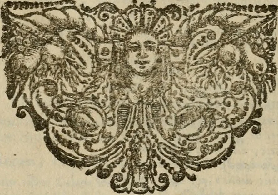 An illustration from Sibylliakoi chresmoi; hoc est, Sibyllina oracula, ex veteribus codicibus emendata ac restituta, et commentariis diversorum illustrata, 1689, leaf 861