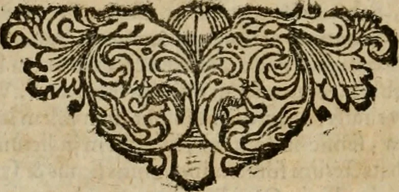 An illustration from Sibylliakoi chresmoi; hoc est, Sibyllina oracula, ex veteribus codicibus emendata ac restituta, et commentariis diversorum illustrata, 1689, leaf 963
