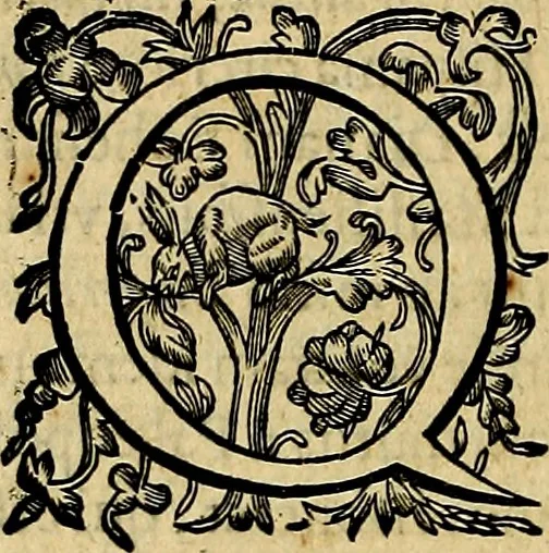 An illustration from Sicilia et Magna Graecia, sive, Historiae vrbivm et popvlorvm Graeciae ex antiqvis nomismatibvs liber primus[-secundus], 1644, leaf 375