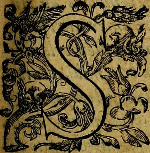 An illustration from Sicilia et Magna Graecia, sive, Historiae vrbivm et popvlorvm Graeciae ex antiqvis nomismatibvs liber primus[-secundus], 1644, leaf 438