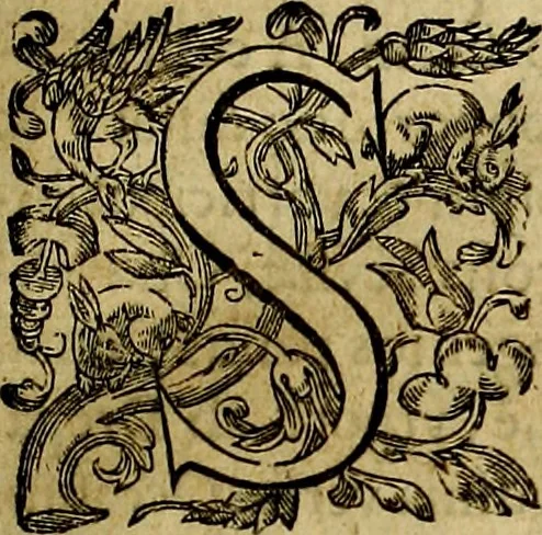 An illustration from Sicilia et Magna Graecia, sive, Historiae vrbivm et popvlorvm Graeciae ex antiqvis nomismatibvs liber primus[-secundus], 1644, leaf 52