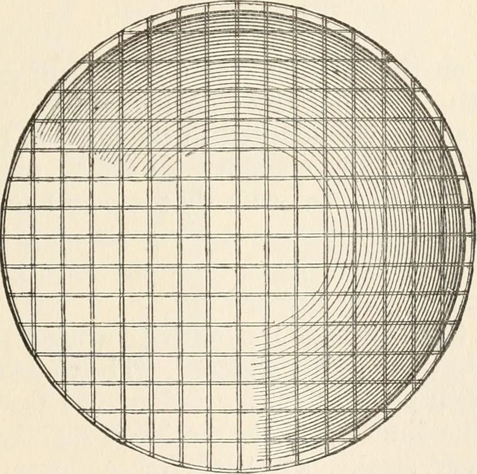 An illustration from Side-lights on astronomy and kindred fields of popular science; essays and addresses, 1906, leaf 100