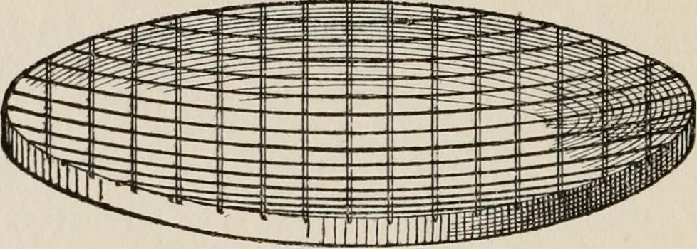 An illustration from Side-lights on astronomy and kindred fields of popular science; essays and addresses, 1906, leaf 101
