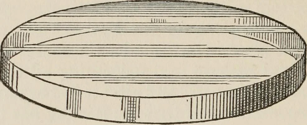 An illustration from Side-lights on astronomy and kindred fields of popular science; essays and addresses, 1906, leaf 99