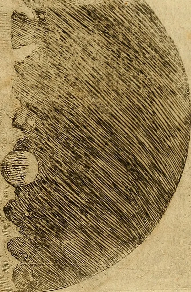 An illustration from Sidereus nuncius : magna, longeque admirabilia spectacula pandens, suspiciendaque proponens vnicuique, praesertim verò philosophis, atq[ue] astronomis, quae à Galileo Galileo ... perspicilli nuper à se reperti beneficio sunt obseruata in lunae facie, fixis innumeris, lacteo circulo, stellis nebulosis, apprime verò in quatuor planetis circa Iouis stellam disparibus interuallis, atque periodis, celeritate mirabili circumuolutis; quos, nemini in hanc vsque diem cognitos, nouissimè author depraehendit primus; atque Medicea sidera nuncupandos decreuit, 1610, leaf 24