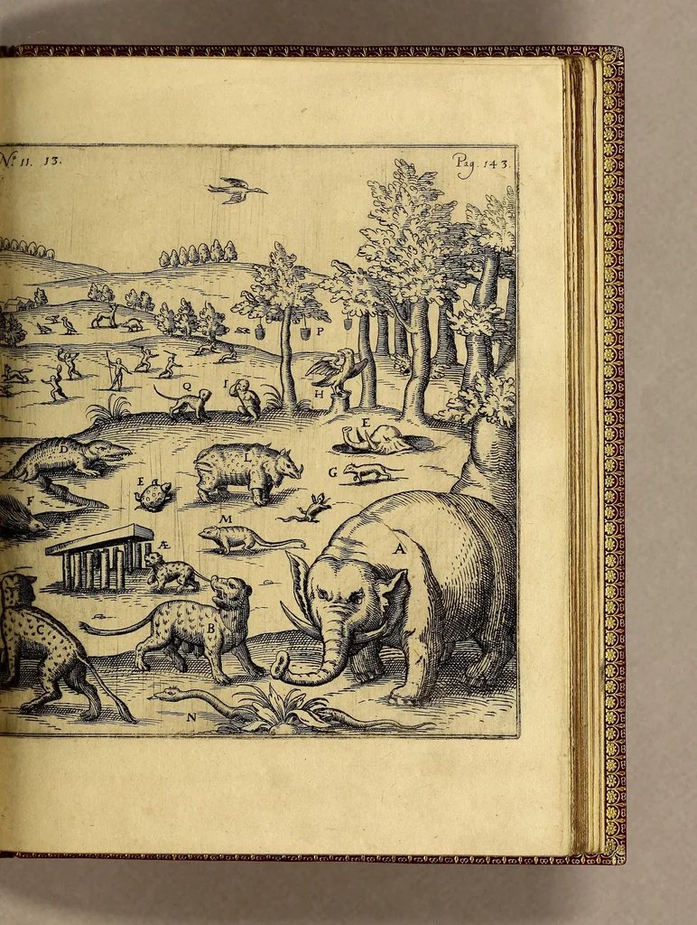An illustration from Siebende Schiffahrt in das Goldreiche Königreich Guineam, in Africa gelegen, : so sonsten das Goldgestadt von Mina genan[n]t wird, welches von den Portugalesern vngefähr vor 200. Jahren erfunden, von den Holländern jnnerhalb 18. Jahren hero bekannt gemacht vnnd frequentirt, jetzt aber von ihnen erst recht erkündigt, vnnd in niderländischer Sprach beschrieben, da sie mit zweyen Schiffen auss demselben Lande Anno 1602. widerumb in Hollande ankommen., 1624, leaf 181