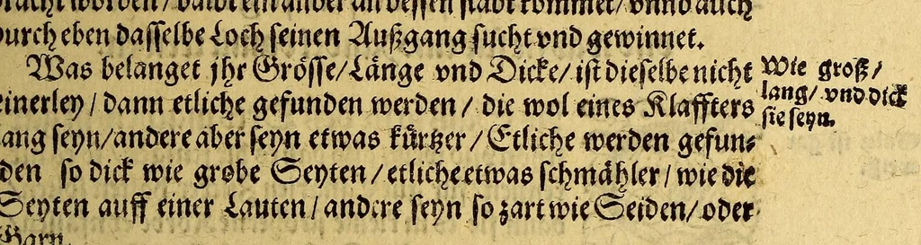 An illustration from Siebende Schiffahrt in das Goldreiche Königreich Guineam, in Africa gelegen, : so sonsten das Goldgestadt von Mina genan[n]t wird, welches von den Portugalesern vngefähr vor 200. Jahren erfunden, von den Holländern jnnerhalb 18. Jahren hero bekannt gemacht vnnd frequentirt, jetzt aber von ihnen erst recht erkündigt, vnnd in niderländischer Sprach beschrieben, da sie mit zweyen Schiffen auss demselben Lande Anno 1602. widerumb in Hollande ankommen., 1624, leaf 235
