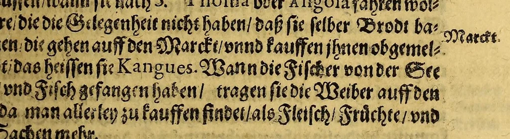 An illustration from Siebende Schiffahrt in das Goldreiche Königreich Guineam, in Africa gelegen, : so sonsten das Goldgestadt von Mina genan[n]t wird, welches von den Portugalesern vngefähr vor 200. Jahren erfunden, von den Holländern jnnerhalb 18. Jahren hero bekannt gemacht vnnd frequentirt, jetzt aber von ihnen erst recht erkündigt, vnnd in niderländischer Sprach beschrieben, da sie mit zweyen Schiffen auss demselben Lande Anno 1602. widerumb in Hollande ankommen., 1624, leaf 53