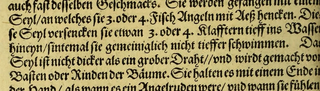 An illustration from Siebende Schiffahrt in das Goldreiche Königreich Guineam, in Africa gelegen, : so sonsten das Goldgestadt von Mina genan[n]t wirdt, welches von den Portugalesern vngefähr vor 200. Jahren erfunden, von den Holländern innerhalb 18. Jahren hero bekannt gemacht vnd frequentirt, jetzt aber von ihnen erst recht erkündigt, vnd in niderländischer Sprach beschrieben, da sie mit zweyen Schiffen auss demselben Lande Anno 1602. widerumb in Hollande ankommen., 1606, leaf 170