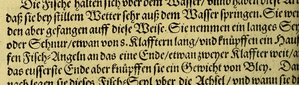 An illustration from Siebende Schiffahrt in das Goldreiche Königreich Guineam, in Africa gelegen, : so sonsten das Goldgestadt von Mina genan[n]t wirdt, welches von den Portugalesern vngefähr vor 200. Jahren erfunden, von den Holländern innerhalb 18. Jahren hero bekannt gemacht vnd frequentirt, jetzt aber von ihnen erst recht erkündigt, vnd in niderländischer Sprach beschrieben, da sie mit zweyen Schiffen auss demselben Lande Anno 1602. widerumb in Hollande ankommen., 1606, leaf 170