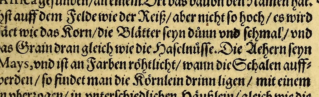 An illustration from Siebende Schiffahrt in das Goldreiche Königreich Guineam, in Africa gelegen, : so sonsten das Goldgestadt von Mina genan[n]t wirdt, welches von den Portugalesern vngefähr vor 200. Jahren erfunden, von den Holländern innerhalb 18. Jahren hero bekannt gemacht vnd frequentirt, jetzt aber von ihnen erst recht erkündigt, vnd in niderländischer Sprach beschrieben, da sie mit zweyen Schiffen auss demselben Lande Anno 1602. widerumb in Hollande ankommen., 1606, leaf 193