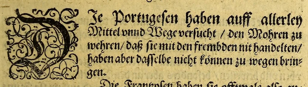 An illustration from Siebende Schiffahrt in das Goldreiche Königreich Guineam, in Africa gelegen, : so sonsten das Goldgestadt von Mina genan[n]t wirdt, welches von den Portugalesern vngefähr vor 200. Jahren erfunden, von den Holländern innerhalb 18. Jahren hero bekannt gemacht vnd frequentirt, jetzt aber von ihnen erst recht erkündigt, vnd in niderländischer Sprach beschrieben, da sie mit zweyen Schiffen auss demselben Lande Anno 1602. widerumb in Hollande ankommen., 1606, leaf 245