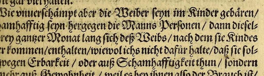 An illustration from Siebende Schiffahrt in das Goldreiche Königreich Guineam, in Africa gelegen, : so sonsten das Goldgestadt von Mina genan[n]t wirdt, welches von den Portugalesern vngefähr vor 200. Jahren erfunden, von den Holländern innerhalb 18. Jahren hero bekannt gemacht vnd frequentirt, jetzt aber von ihnen erst recht erkündigt, vnd in niderländischer Sprach beschrieben, da sie mit zweyen Schiffen auss demselben Lande Anno 1602. widerumb in Hollande ankommen., 1606, leaf 37