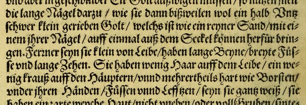 An illustration from Siebende Schiffahrt in das Goldreiche Königreich Guineam, in Africa gelegen, : so sonsten das Goldgestadt von Mina genan[n]t wirdt, welches von den Portugalesern vngefähr vor 200. Jahren erfunden, von den Holländern innerhalb 18. Jahren hero bekannt gemacht vnd frequentirt, jetzt aber von ihnen erst recht erkündigt, vnd in niderländischer Sprach beschrieben, da sie mit zweyen Schiffen auss demselben Lande Anno 1602. widerumb in Hollande ankommen., 1606, leaf 44