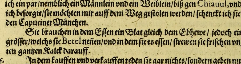An illustration from Siebenter Theil der Orientalischen Indien, darinnen zwo vnterschiedliche Schiffarten begrieffen. Erstlich eine Dreyjährige Reyse Georgii von Spielbergen Admirals vber drey Schiffe, welche An. 1601. auss Seeland nach den Orientalischen Indien abgefahren, vnd nach viel widerwertigkeiten An. 1604. wider in Seelande ankom[m]en, : darinnen seine gantze, vnd was im für Abentheuer auff derselben begegnet, wie dann auch die mächtige Königreich Matecalo vnnd Candy, sampt ihren prächtigen Königen, Sitten, vnd Ceremonien, verzeichnet vnd beschrieben. Zum andern ein Neunjärige Reyse eines Venetianischen Jubilirers, Casparus Balby genannt, sampt allem, was ime auff derselben von 1579. biss in 1588. begegnet vnd widerfahren, neben Anweisung aller Zöllen, Gewichten, Massen vnd Müntzen deren man sich von Alleppo auss biss ins Königreich Pegu zu Gebrauchen, wie dann auss dess Handels vnd Wandels Lebens Sitten, Ceremonien vnd Gebräuchen der Völcker vnd Eynwohner dess mächtigen Königreichs Pegu., 1605, leaf 160