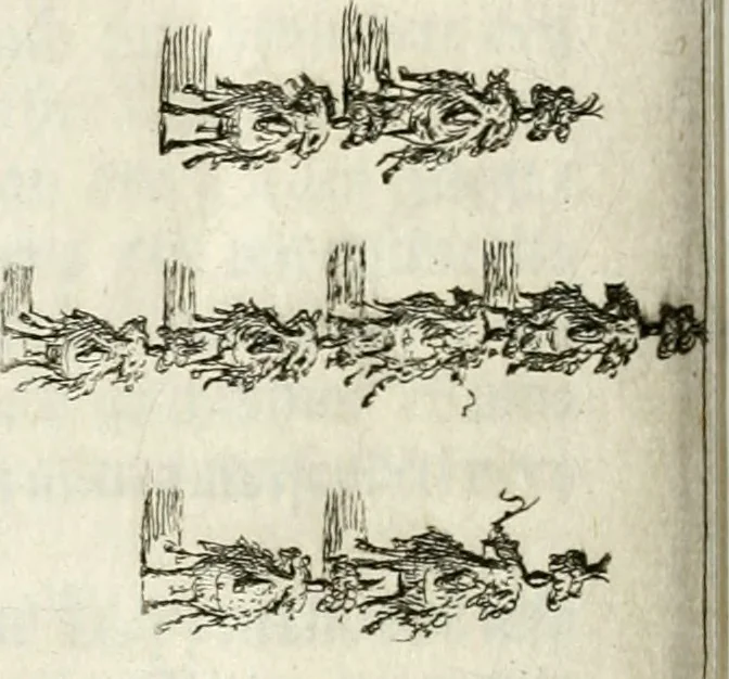 An illustration from Sieg-Streit dess Lufft vnd Wassers : Freuden-Fest zu Pferd zu dem glorwürdigisten Beyläger beeder kayserlichen Majestäten Leopoldi dess Ersten, römischen Kaysers ... vnd Margarita, gebohrner königlichen Infantin auss Hispanien : dargestellet in dero kayserlichen Residenz Statt Wienn, 1667, leaf 39