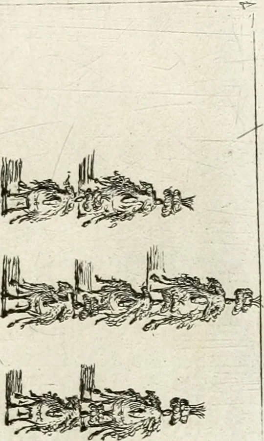An illustration from Sieg-Streit dess Lufft vnd Wassers : Freuden-Fest zu Pferd zu dem glorwürdigisten Beyläger beeder kayserlichen Majestäten Leopoldi dess Ersten, römischen Kaysers ... vnd Margarita, gebohrner königlichen Infantin auss Hispanien : dargestellet in dero kayserlichen Residenz Statt Wienn, 1667, leaf 40