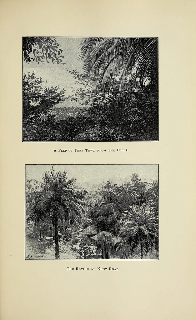 An illustration from Sierra Leone after a hundred years, 1894, leaf 341