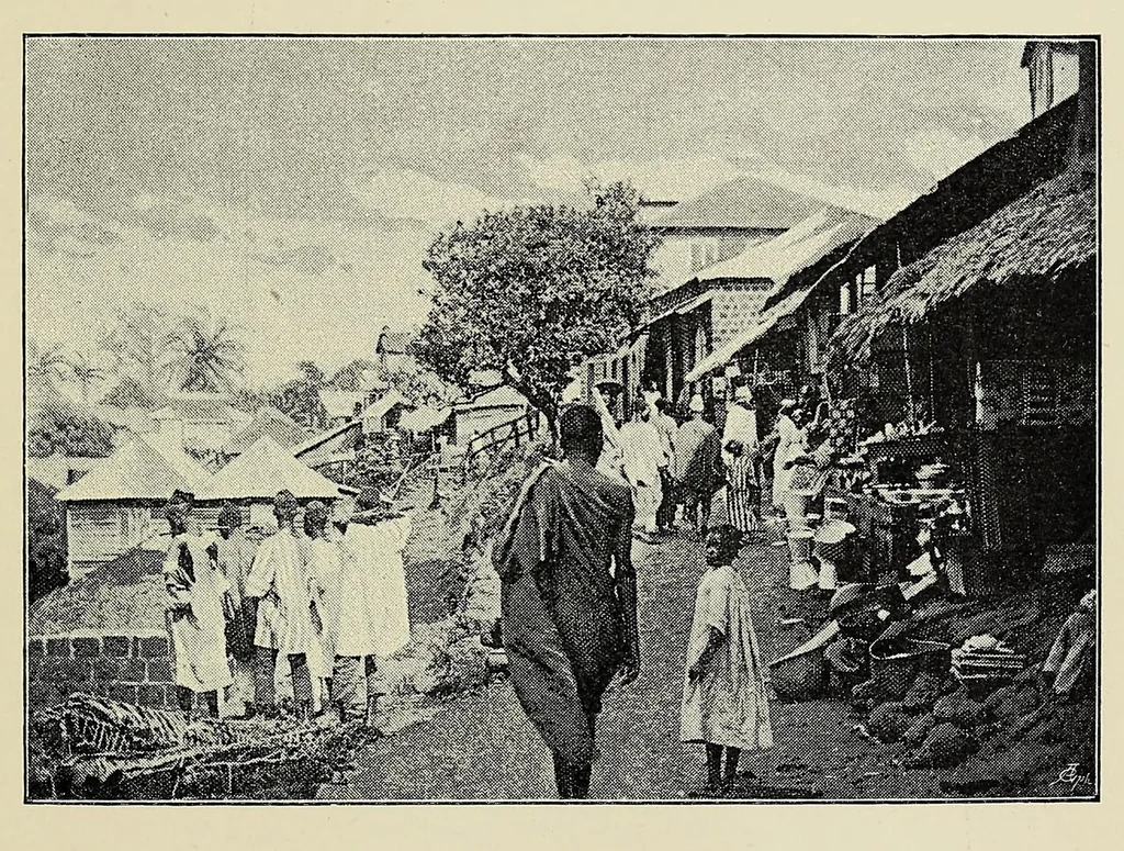 An illustration from Sierra Leone after a hundred years, 1894, leaf 373