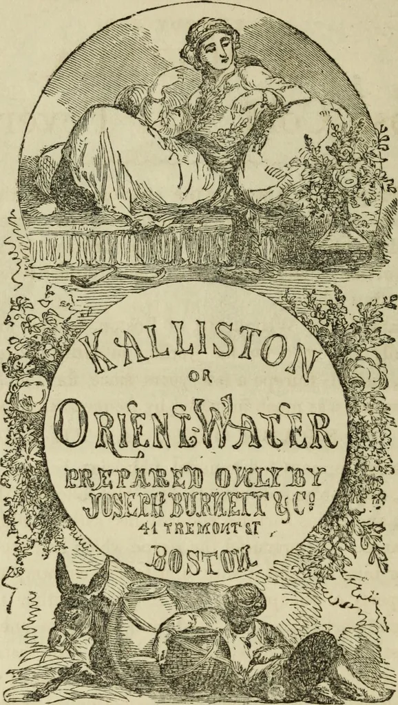 An illustration from Sights in Boston and suburbs, or, Guide to the stranger, 1856, leaf 265