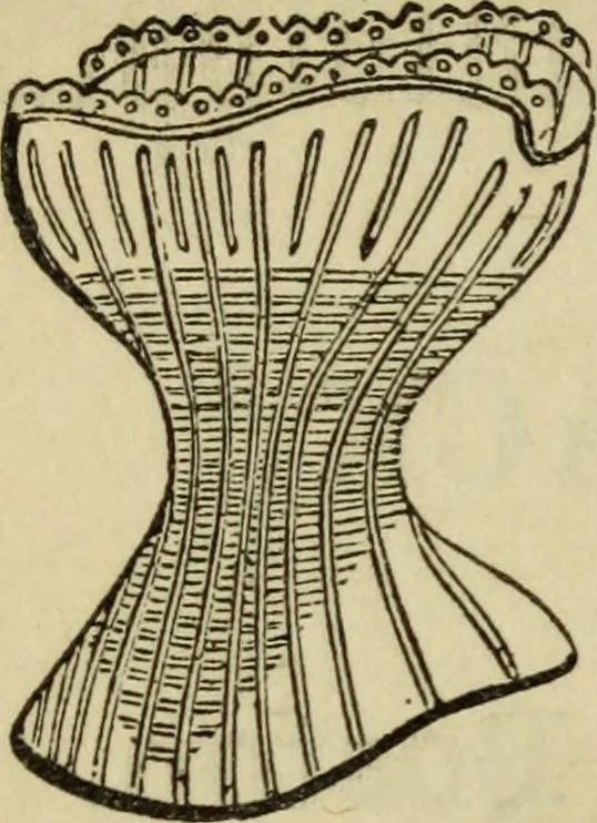 An illustration from Sights in Boston and suburbs, or, Guide to the stranger, 1856, leaf 289