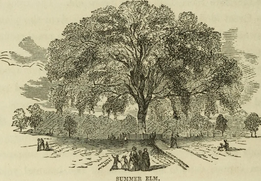 An illustration from Sights in Boston and suburbs, or, Guide to the stranger, 1856, leaf 93
