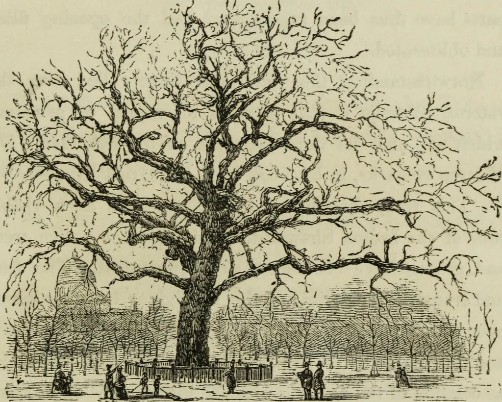An illustration from Sights in Boston and suburbs, or, Guide to the stranger, 1856, leaf 94
