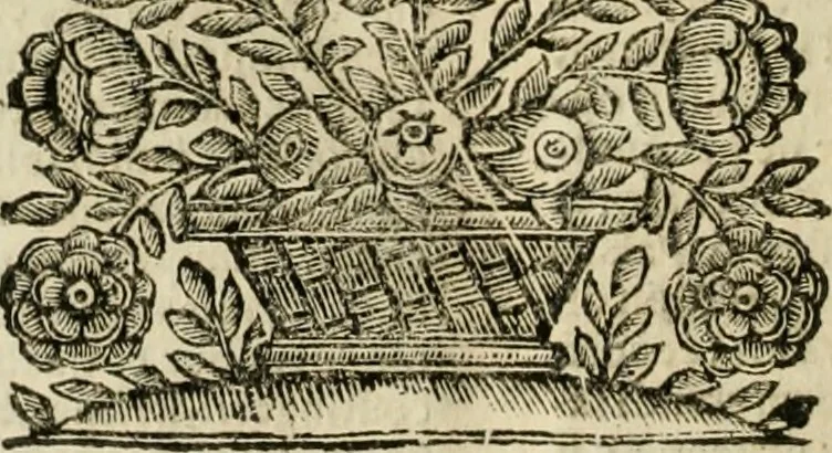 An illustration from Sigismvndi Scacciae ivriscons. romani, Tractatvs de commerciis, et cambio. In quo non minus opportunè, quàm iuxta occasionem copiosè tractatur de mora, interesse, vsura, solemnitate scripturae, asse in pondere, & valore, de moneta, solutionibus, oblatione, deposito, praescritionibus, compensationibus, iurium cessionibus, delegationibus, adiudicatione nominis debitoris, hypotheca, adiecto, manifestatione, cessione bonorum, legitimatione personarum, curatore dando haereditati, & de modo procedendi in causis cambiorum. Accessit etiam index copiosissimvs, 1669, leaf 479