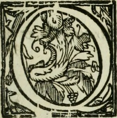 An illustration from Sigismvndi Scacciae ivriscons. romani, Tractatvs de commerciis, et cambio. In quo non minus opportunè, quàm iuxta occasionem copiosè tractatur de mora, interesse, vsura, solemnitate scripturae, asse in pondere, & valore, de moneta, solutionibus, oblatione, deposito, praescritionibus, compensationibus, iurium cessionibus, delegationibus, adiudicatione nominis debitoris, hypotheca, adiecto, manifestatione, cessione bonorum, legitimatione personarum, curatore dando haereditati, & de modo procedendi in causis cambiorum. Accessit etiam index copiosissimvs, 1669, leaf 8
