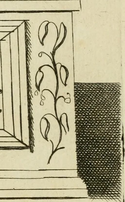 An illustration from Signa antiqua e museo Jacobi de Wilde : veterum poetarum carminibus illustrata et per Mariam filiam aeri inscripta, 1700, leaf 136