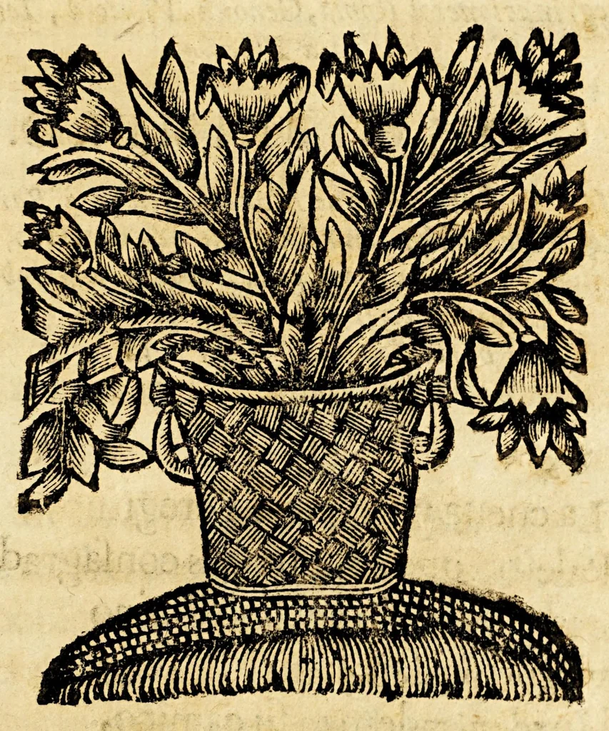An illustration from S. Ignacio de Loyola, fundador de la Compañia de Iesus. : Poema heroyco., 1666, leaf 217