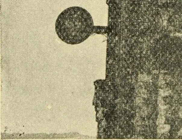 An illustration from Signalling through space without wires : being a description of the work of Hertz & his successors, 1900, leaf 77