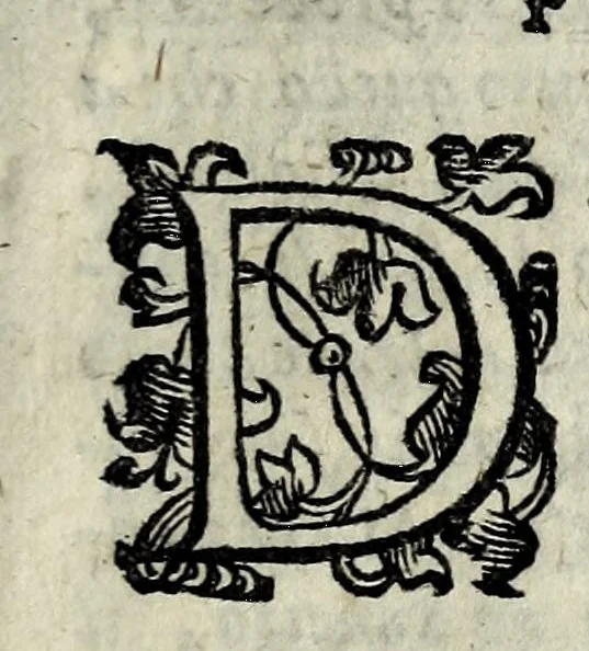An illustration from Significato de i colori et de' mazzolli, 1606, leaf 19