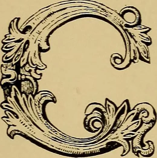 An illustration from The signist's book of modern alphabets, plain and ornamental, ancient and mediæval, from the eighth to the twentieth century, with numerals, 1906, leaf 194