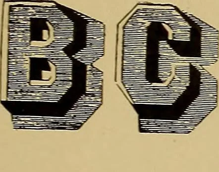 An illustration from The signist's book of modern alphabets, plain and ornamental, ancient and mediæval, from the eighth to the twentieth century, with numerals, 1906, leaf 50